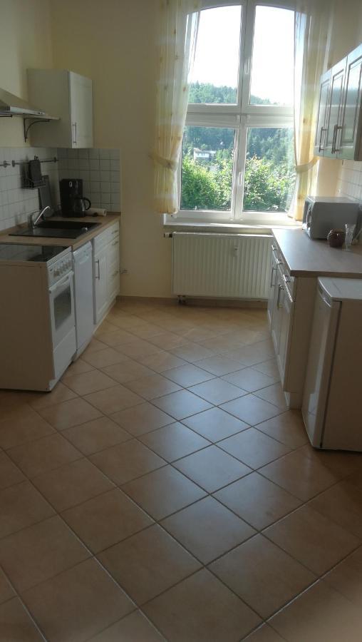 Ferienwohnung Sonnenblick Burkhardtsdorf Экстерьер фото